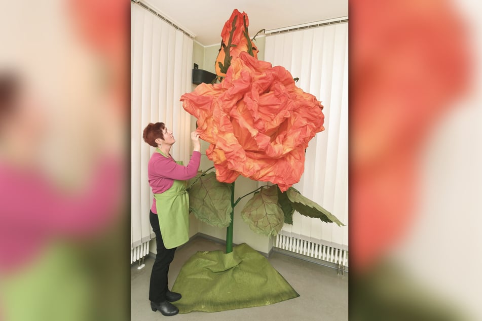 3,70 Meter hoch, 1,50 Meter im Durchmesser: Die größte Seidenrose der Welt steht sogar im Guinness Buch der Rekorde und überragt ihre Schöpferinnen.