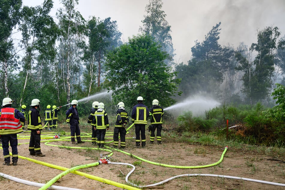 Seit Dienstag bekämpfen die Einsatzkräfte der Feuerwehr den Waldbrand.