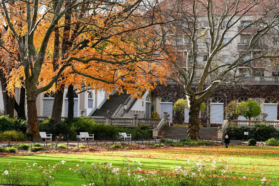 Tatort war der Körnerpark in Berlin-Neukölln. (Archivfoto)