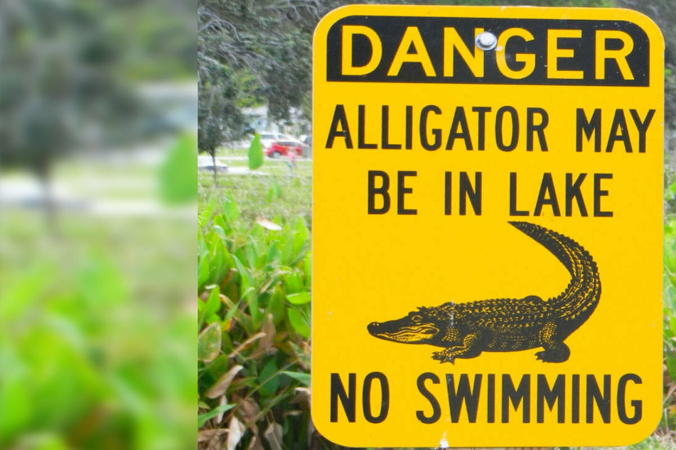 Florida man found dead after looking for Frisbee in lake full of alligators