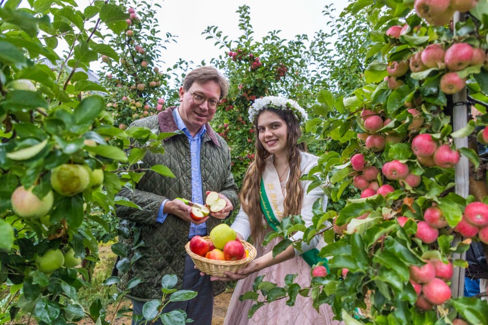Für Landwirtschaftsminister Georg-Ludwig von Breitenbuch (54, CDU) und die 28. Sächsische Blütenkönigin Alida I. (24) haben regionale Produkte wie der heimische Apfel gerade in Zeiten des Klimawandels einen hohen Stellenwert.