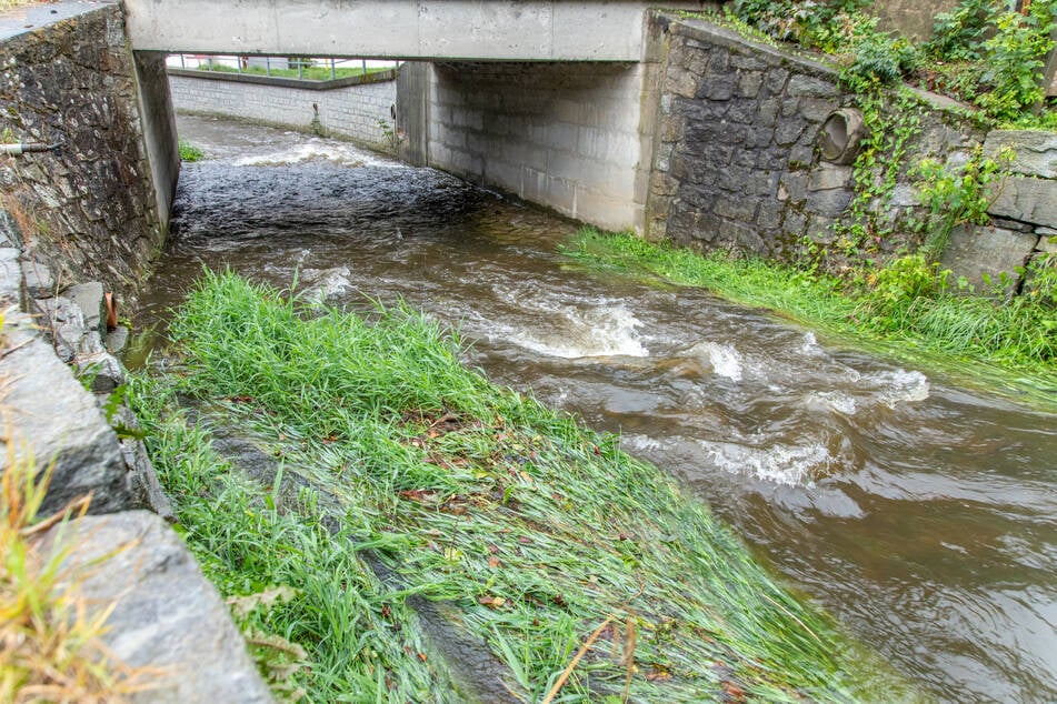 Der Fluss Zwönitz stieg durch den Regen an.