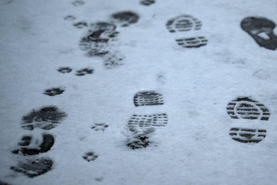 Leichtes Spiel für Polizei: Spuren im Schnee verraten durstigen Einbrecher