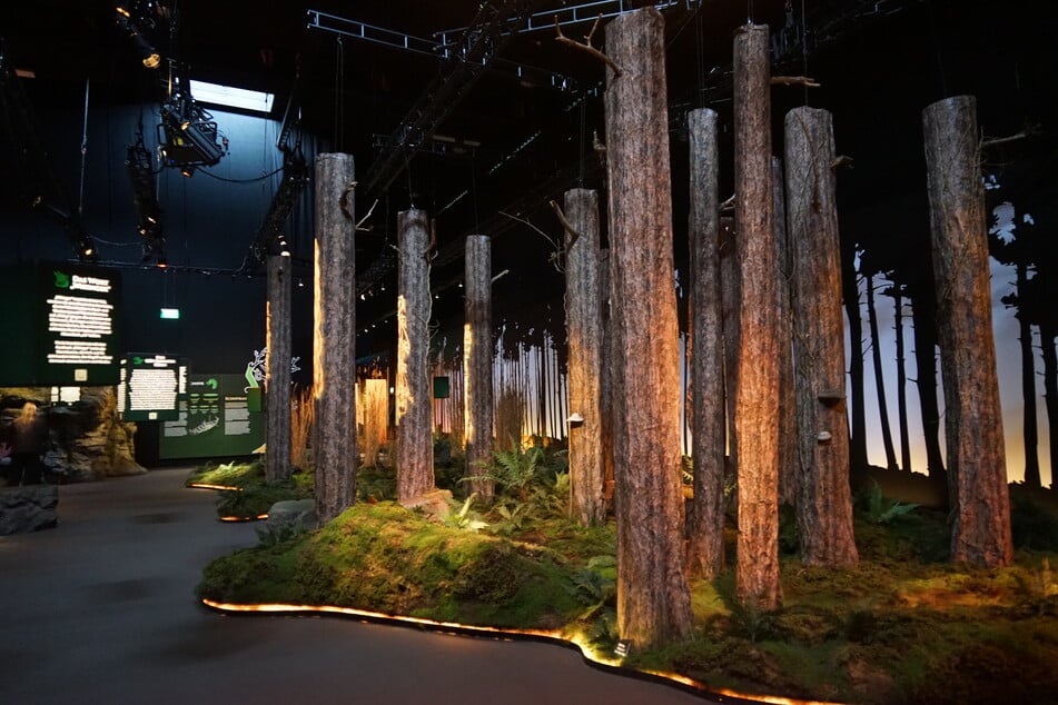 Ein Spaziergang durch den Wald. Der "Forest of Time" soll unter anderem die Verbundenheit der Wikinger mit der Natur darstellen.