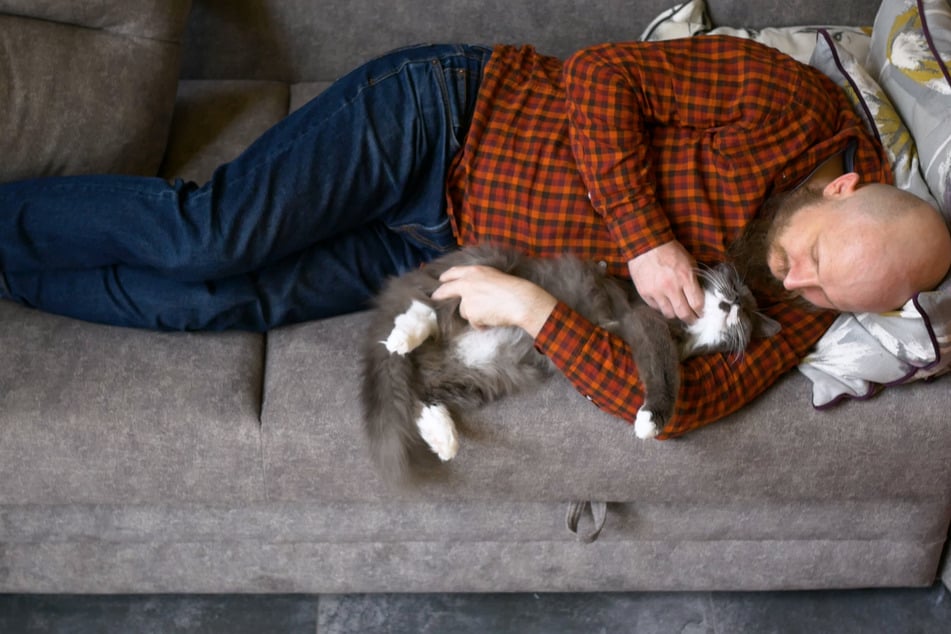 Lässt sich die Katze am Bauch kraulen, zeugt das von Vertrauen.