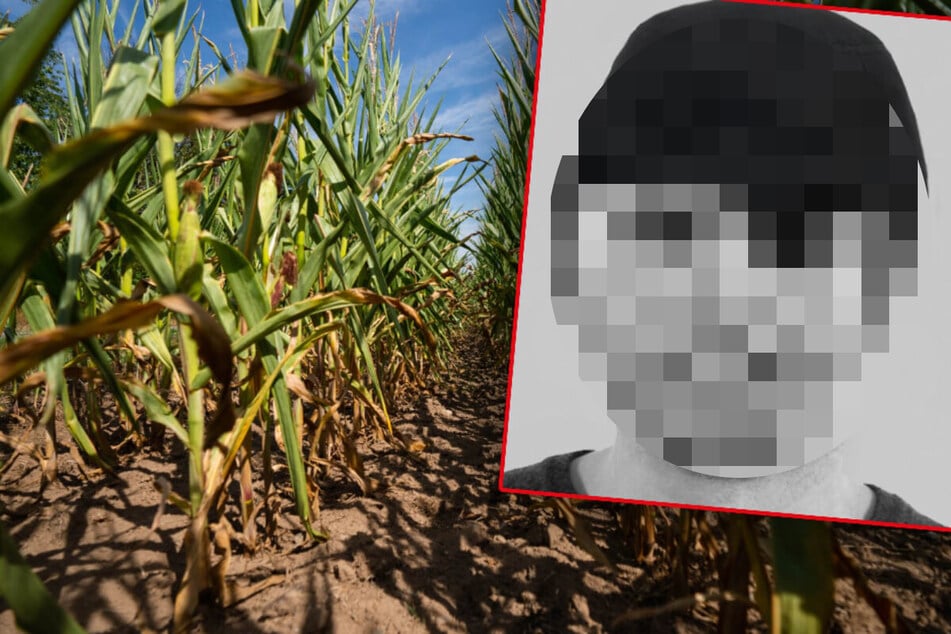 Lkw-Fahrer rammt 31-Jährige auf Feldweg - dann zerrt er die Frau in ein Maisfeld