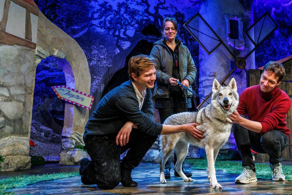 Dresden: Im Boulevardtheater Dresden: "Wolf" Nadra ist jetzt ein Bühnenstar