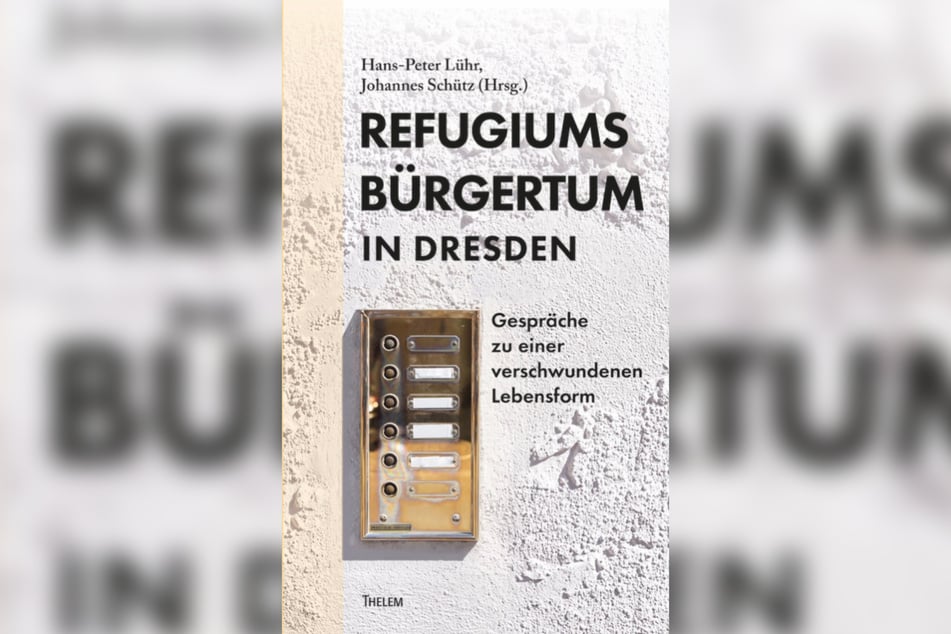 Das Buch, erschienen bei Thelem für 22,80 Euro.