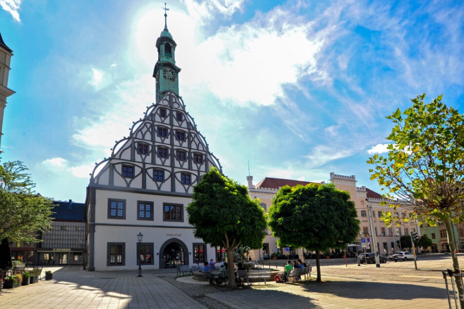 Laut einer brisanten Liste soll das Zwickauer Theater Opfer großer Einsparungen werden.