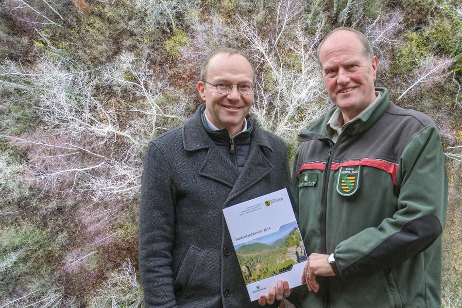 Forstminister Wolfram Günther (51, Grüne) und Forstpräsident Utz Hempfling (62, r.) mit dem Waldschadensbericht 2024.