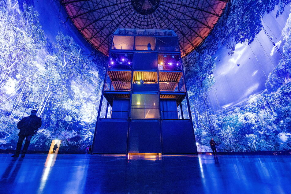 Es ist Nacht im Regenwald. Der Besucherturm ist in blaues Licht getaucht.