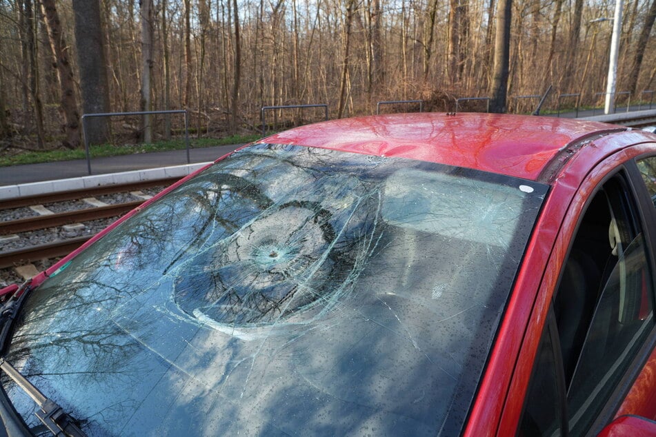 Dieser Peugeot wurde am Mittwoch auf der Waldstraße von einem umstürzenden Baum getroffen.