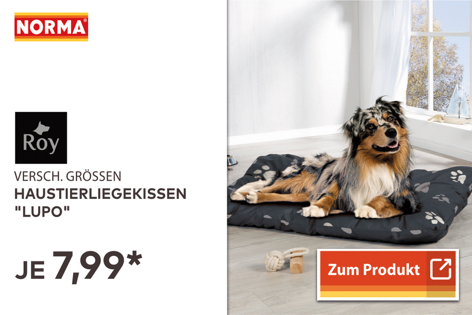 Haustier-Liege-Kissen "Lupo" ab 7,99 Euro.