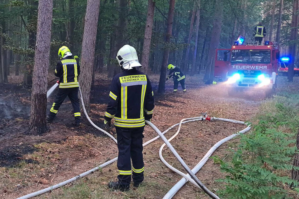 Brandstiftung: Mehr als 10.000 Quadratmeter Wald bei Oranienburg abgefackelt
