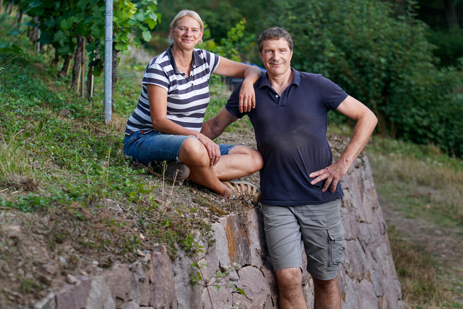Grit Geißler (54) und Martin Schwarz (59) sind, was den Wein betrifft, Quereinsteiger. Doch gemeinsam haben sie den Sprung ins Winzerleben gewagt und große Erfolge erzielt.