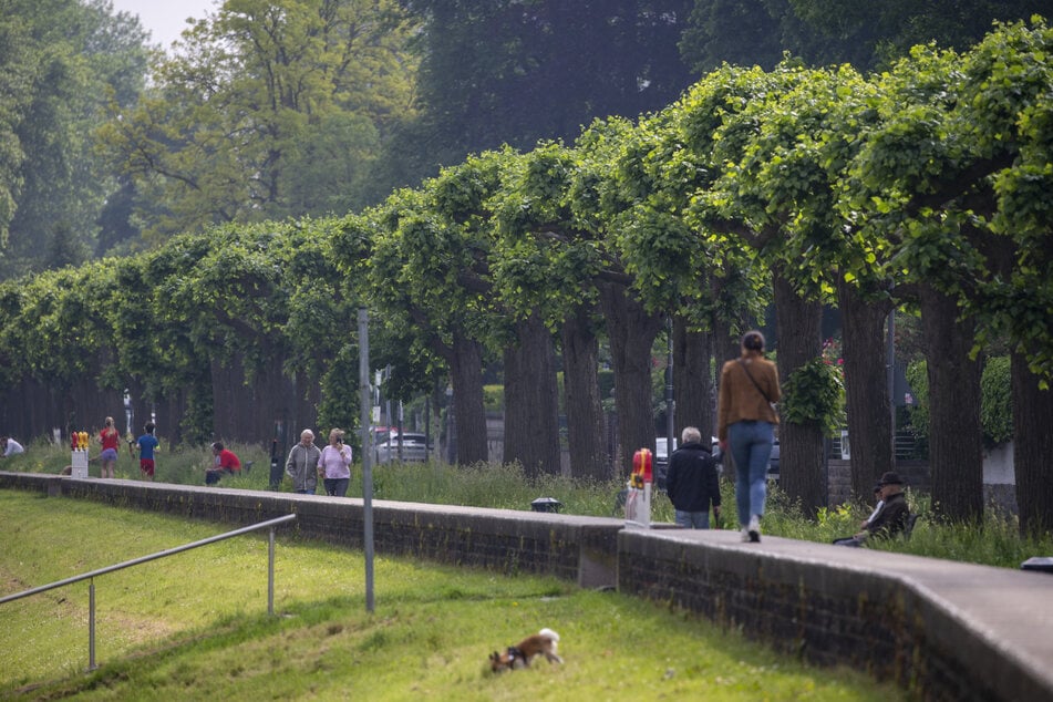 Um Naherholungsgebiet besser anzubinden: KVB ändert Fahrplan während Sommerferien