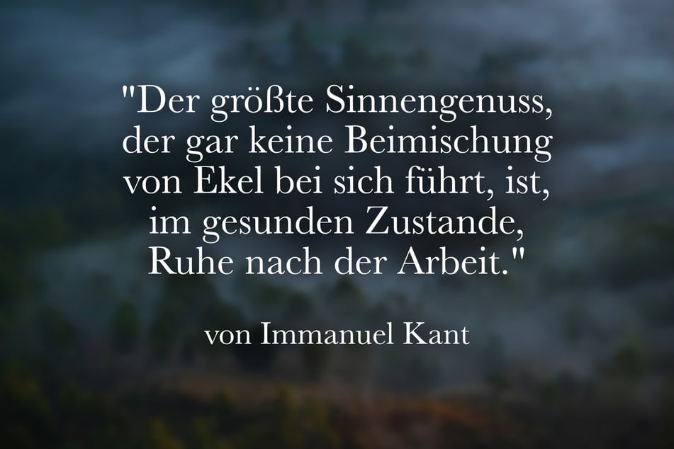 Dieses Zitat von Immanuel Kant passt zum Feierabend.