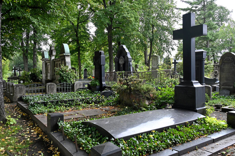 Eine Führung über den Johannisfriedhof widmet sich tierischen Merkmalen auf Grabstätten.