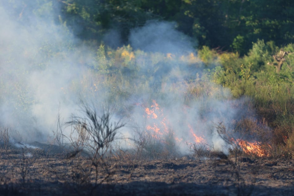 Der Feuerwehr zufolge seien 2000 Quadratmeter in der Dellbrücker Heide verbrannt.