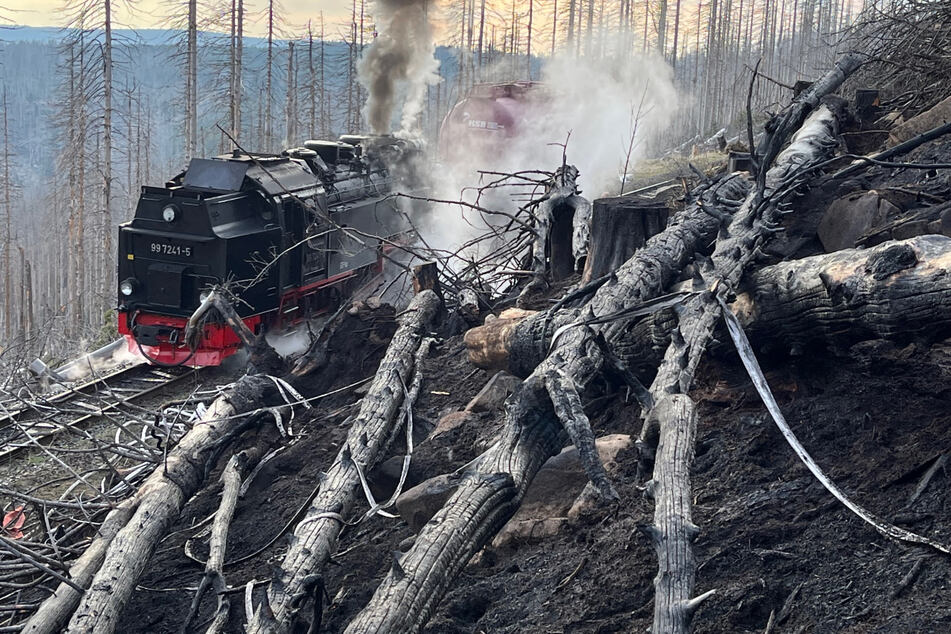 Großfeuer im Nationalpark Harz: Betrieb der Brockenbahn eingestellt