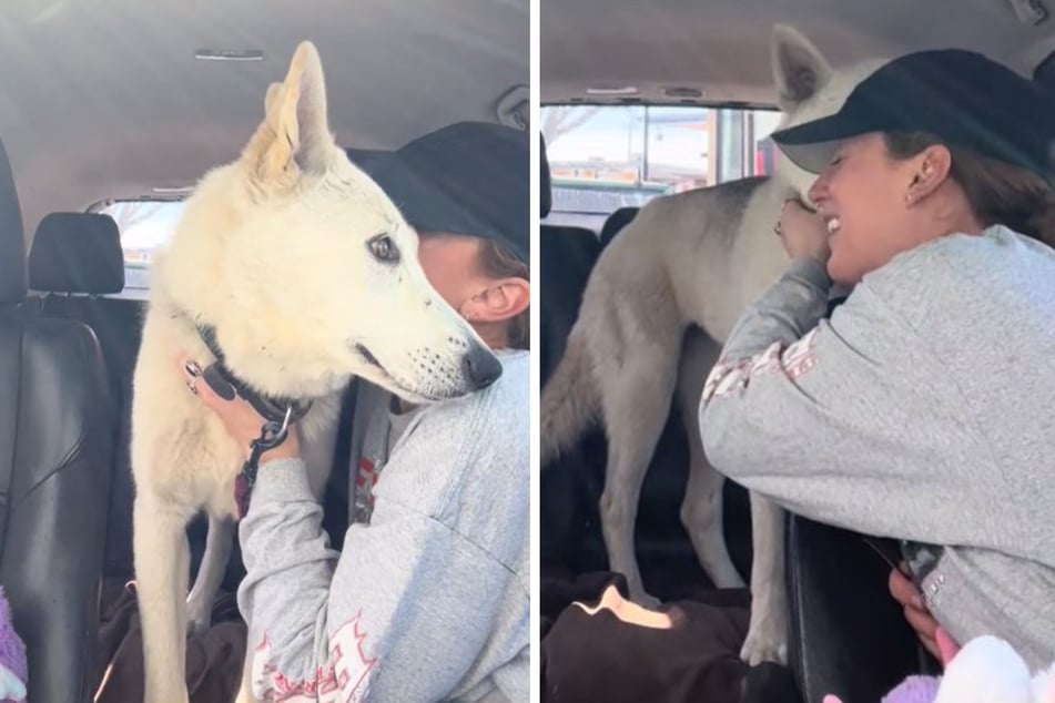 Frau rettet Hund aus Tierheim: Plötzlich platzt es aus ihr heraus