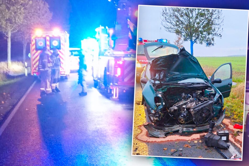Peugeot kracht bei Unfall gegen Baum - zwei Verletzte