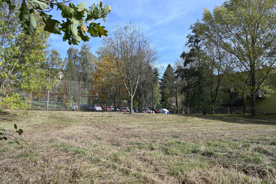 Der alte Bolzplatz in Bernsdorf sieht auf den ersten Blick gepflegt aus. Doch ihn herzurichten, ist offensichtlich aufwendig.