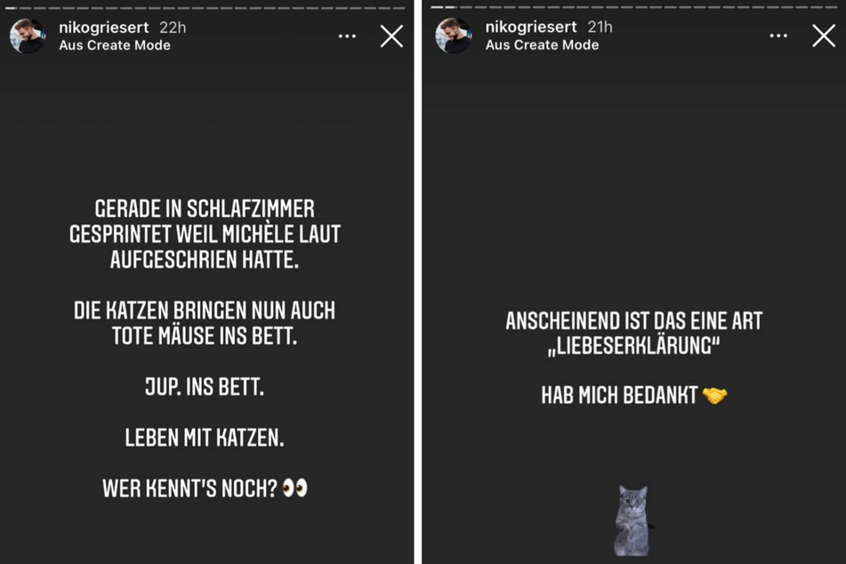Niko Griesert (30) berichtete seinen Instagram-Fans von einem unschönen Erlebnis: Im Bett seiner Freundin Michèle de Roos (27) hatten deren Katzen eine besondere Überraschung hinterlegt.