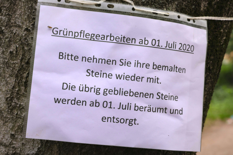 Diese Zettel hängen seit letzter Woche im Waldpark Blasewitz.