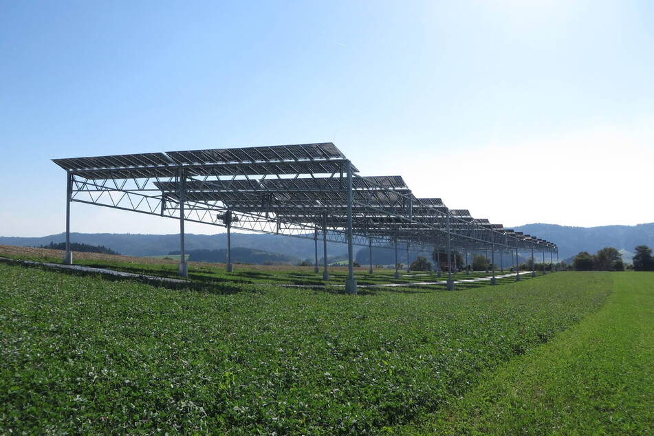 Oben Sonne für Strom einfangen, unten das Feld beackern - Agriphotovoltaik-Anlagen wie hier in Heggelbach am Bodensee sollen eine wichtige Rolle in Sachsens Solar-Zukunft spielen.