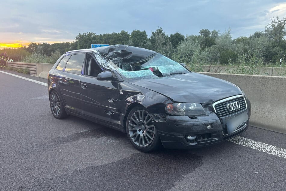 Der Beifahrer des Audi (21) wurde bei dem Unfall leicht verletzt.