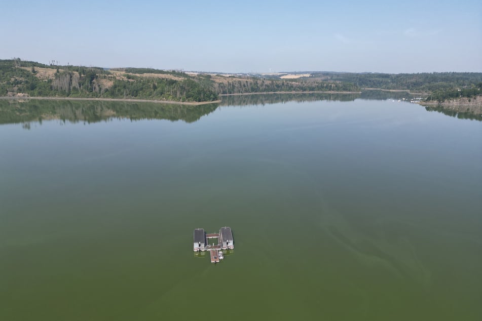 Akute Gesundheitsgefahr: In diesem Bereich des Bleilochstausees darf nicht gebadet werden