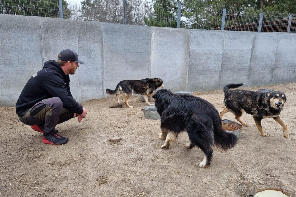 Ein Mitglied der Gruppe "Breaking The Chains" mit geretteten Hunden aus dem Tierheim Borodyanka.