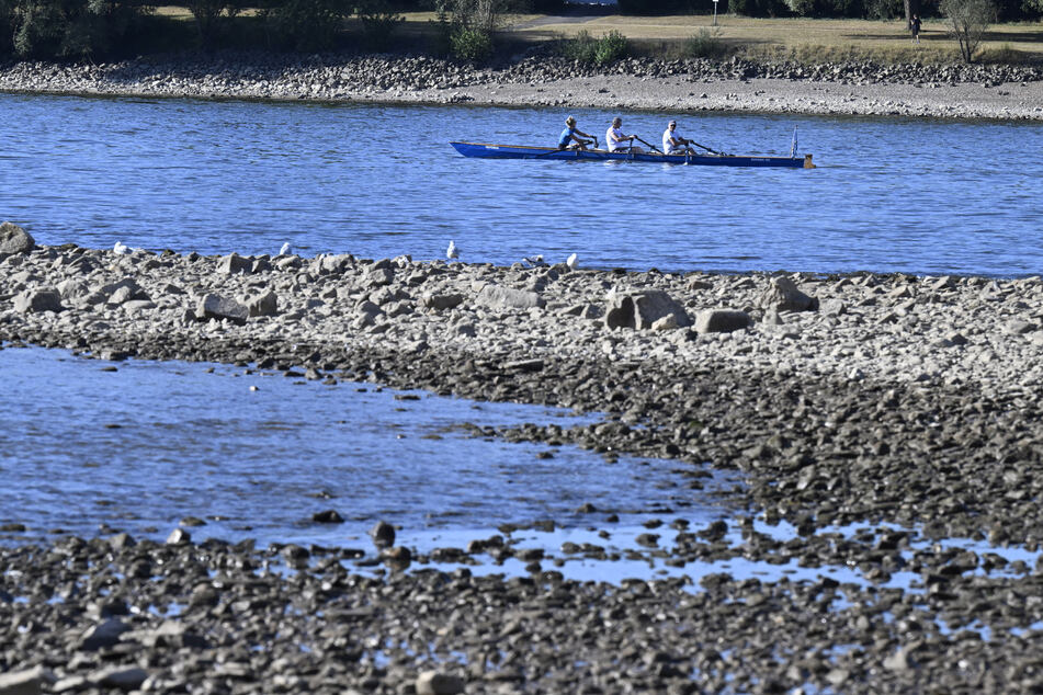 Schock-Fund: Niedriger Wasserstand offenbart, was die ganze Zeit im Rhein lag