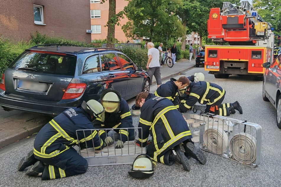 Hamburg: Anwohner wollen Wespennest bekämpfen: Irre Verkettung löst Großeinsatz aus