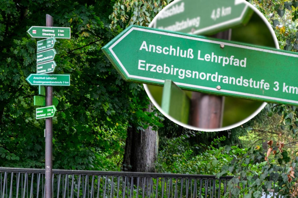 Chemnitz: Wanderer schütteln den Kopf: Dieser Wegweiser in Chemnitz ist einfach nur peinlich