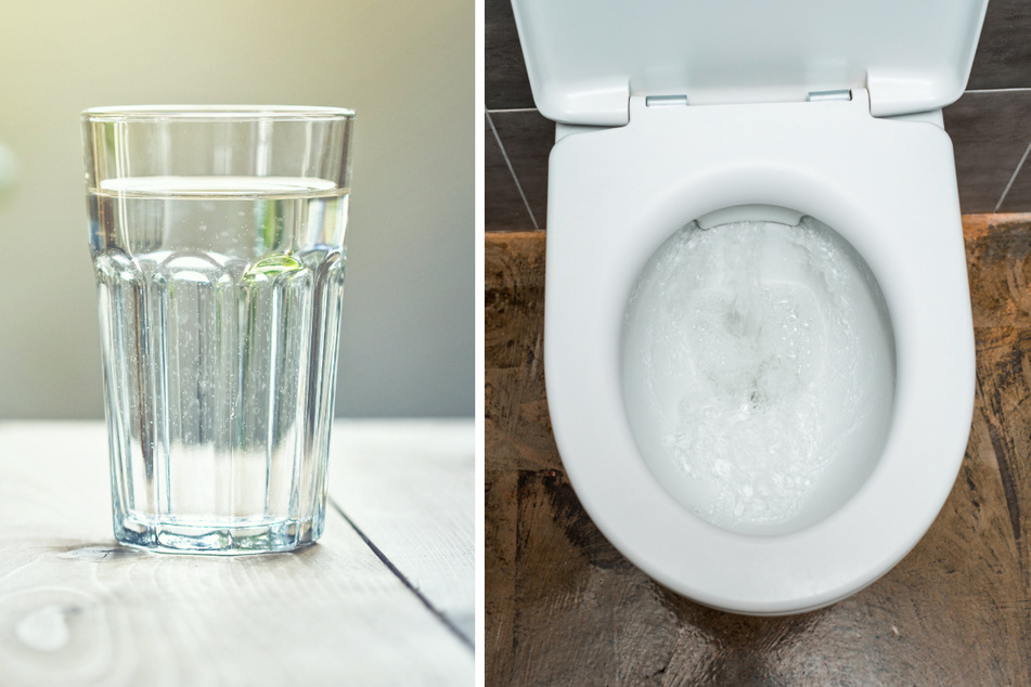 Dienstmädchen gab ihren Arbeitgebern Klowasser zu trinken: Haft!