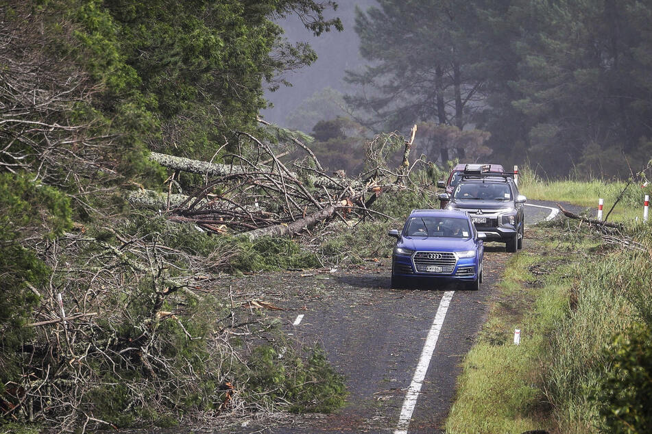Auf einer Straße in Cook's Beach, östlich von Auckland, können die Autos aufgrund von umgestürzten Bäumen nur einen schmalen Streifen befahren.