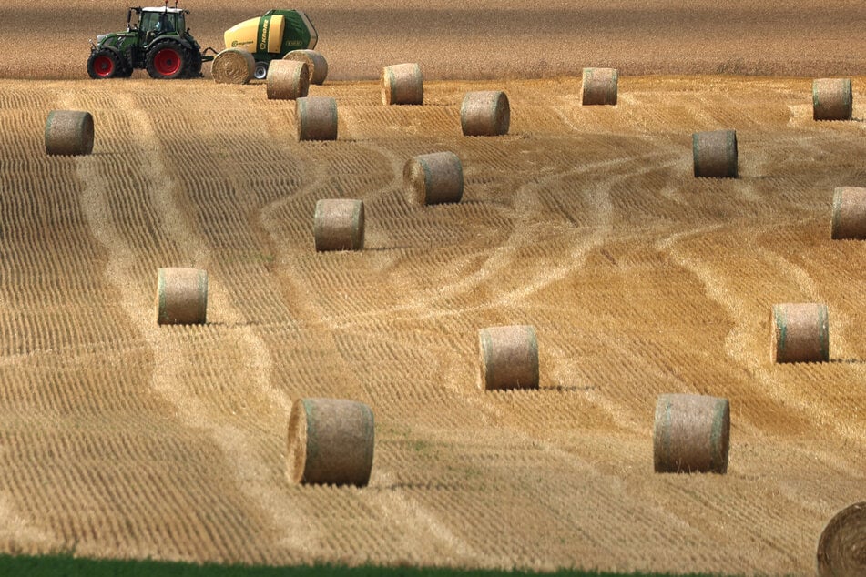 Die Ursache des Brandes der Strohballen stehe bisher noch nicht fest, so die Polizei. (Symbolfoto)