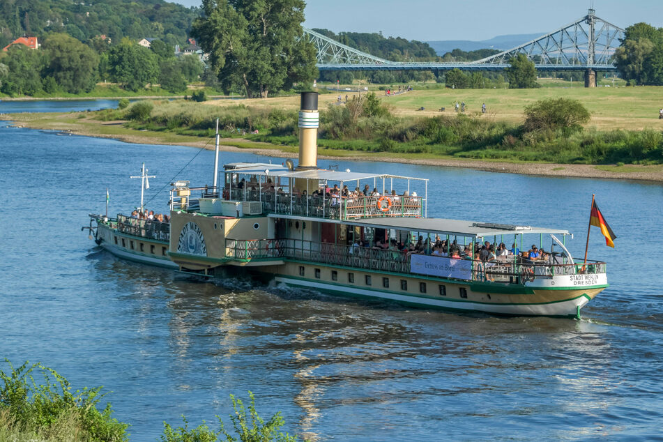 Dresden: Start der "Elbinselthriller-Tour": An Bord der Weißen Flotte gibt's einen echten Dresdner Kriminalfall