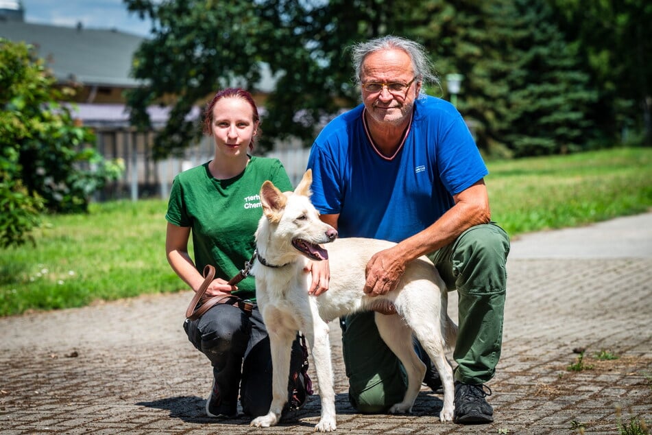 Mischlingshündin Bianka wurde diesen Monat einfach vor dem Tierheim auf dem Pfarrhügel ausgesetzt. Seitdem kümmern sich Helferin Lene Breitfeld (18) und Tierheim-Leiter Jens von Lienen (64) um den Vierbeiner.