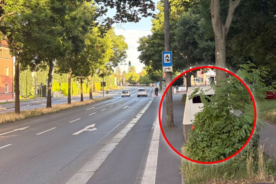 Perfekt getarnt: Hier wacht jetzt der Superblitzer