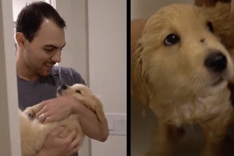 Owner Corey helped his puppy conquer his fear of baths by getting in with him!