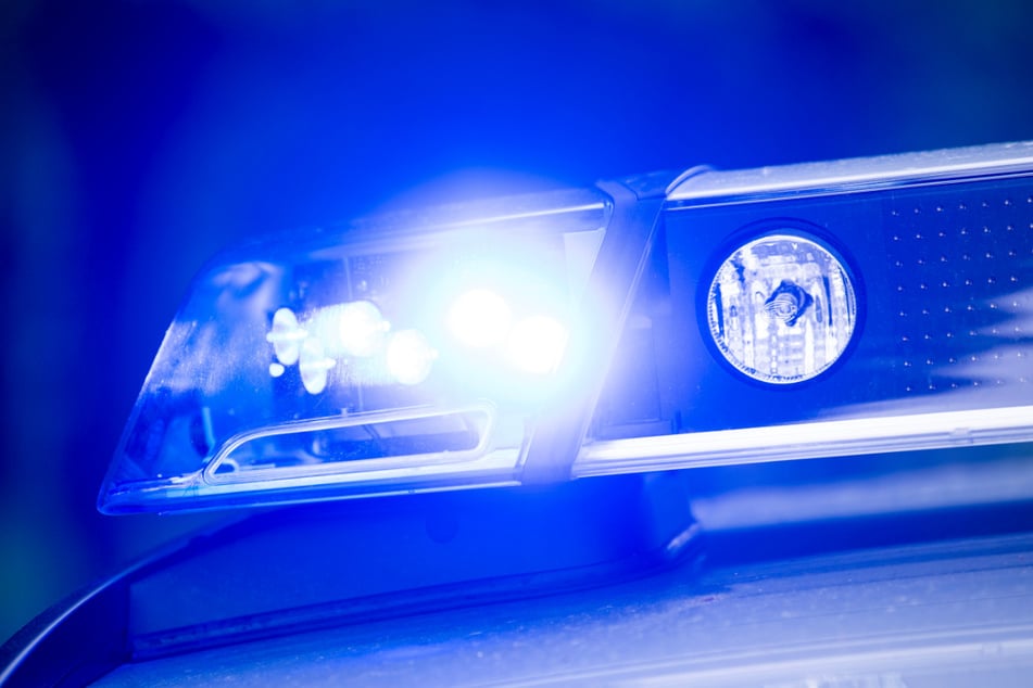 Policja próbowała łapać psa przez wiele godzin. (Zdjęcie symboliczne)