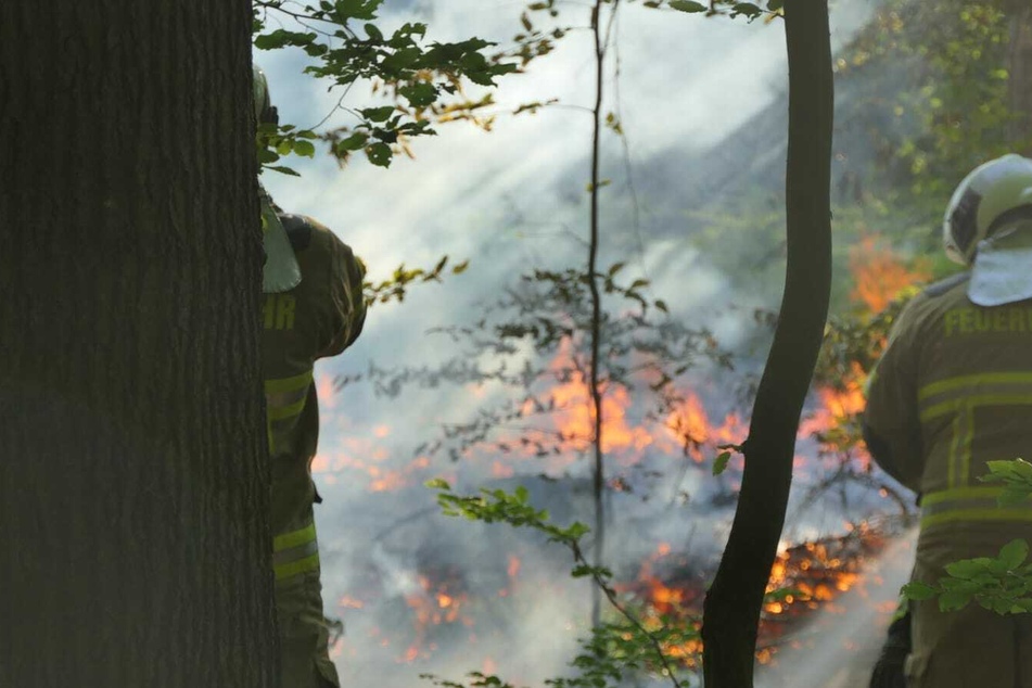 Am Mittwochabend ist es erneut zu einem Brand im Waldbardauer Forst bei Grimma gekommen.