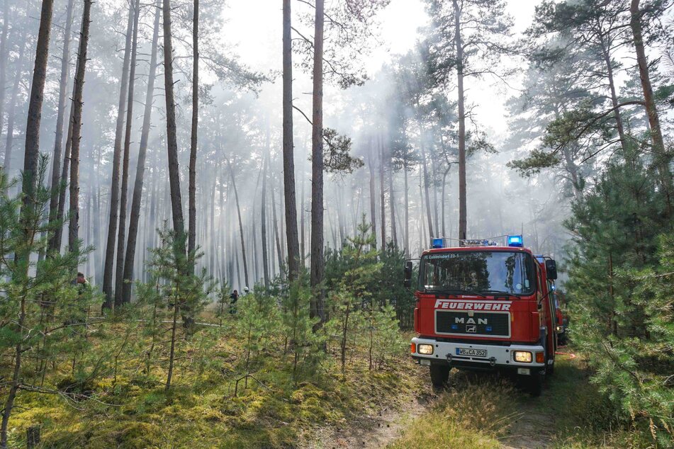 Die Flammen seien gelöscht worden, die Schadenshöhe stehe aktuell noch nicht fest.