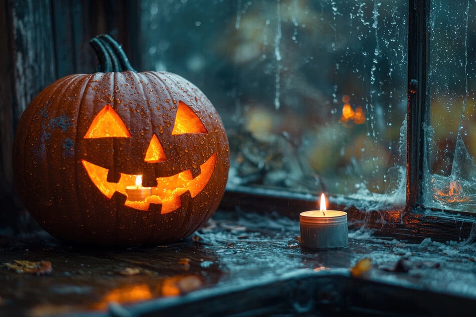Der Halloween-Kult mit den ausgehöhlten Kürbisfratzen schwappte vor drei Jahrzehnten von Amerika auch nach Sachsen über. Doch die Deko bedarf einiger Vorbereitungen.