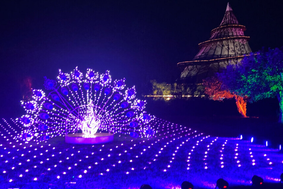 Auf neue Öffnungszeiten müssen sich Besucher beim Lichtspektakel "Lumagica" im Elbauenpark einstellen.