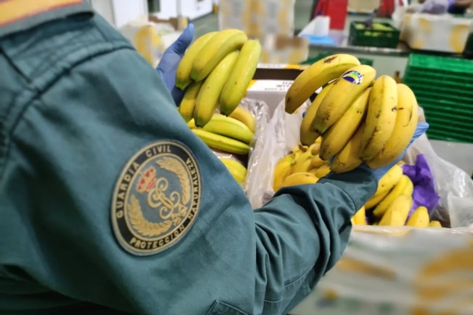 Bananen wurden fälschlicherweise als Produkt der Kanarischen Inseln verkauft, um höherer Gewinne zu erzielen.