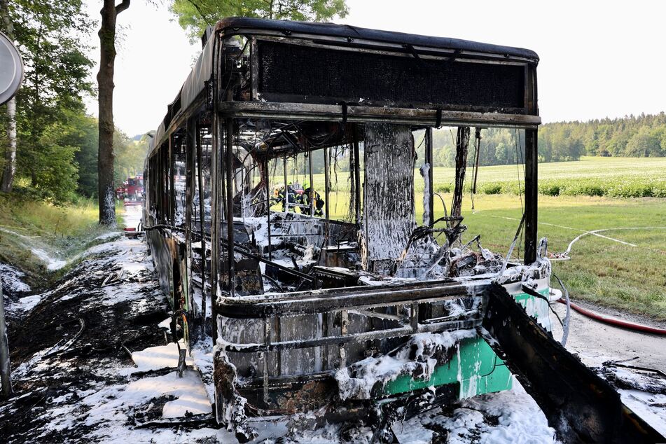 Völlig ausgebrannt! Vom Bus blieb nur noch das "Gerippe" übrig.